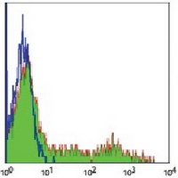 CD74 Mouse Monoclonal Antibody