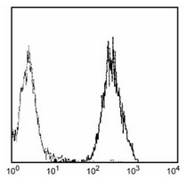 CD81 Mouse Monoclonal Antibody