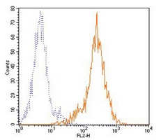 CD86 Mouse Monoclonal Antibody