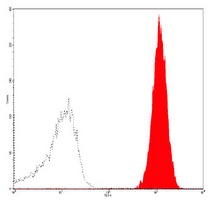CD9 Mouse Monoclonal Antibody