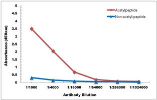 Anti-Histone H3 (Acetyl-K123) Antibody