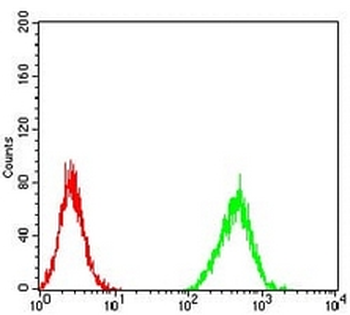 ZFP91 Mouse Monoclonal Antibody