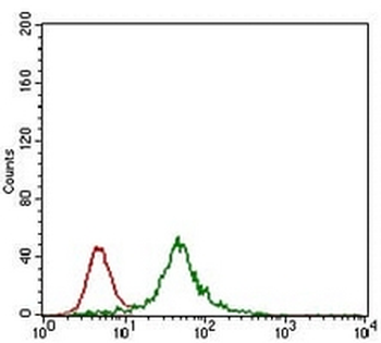REX-1 Mouse Monoclonal Antibody