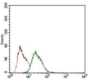 REX-1 Mouse Monoclonal Antibody