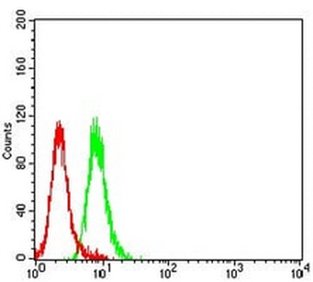 ZAP70 Mouse Monoclonal Antibody