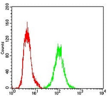Ku70 Mouse Monoclonal Antibody