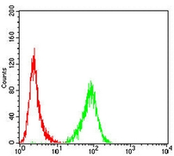XRCC1 Mouse Monoclonal Antibody