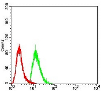 WTAP Mouse Monoclonal Antibody