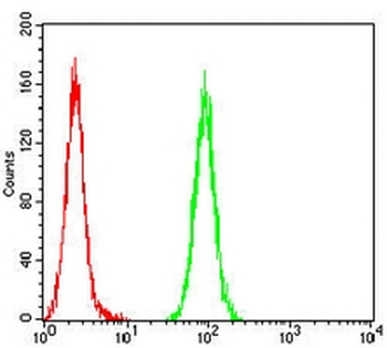 Wilms Tumor 1 Mouse Monoclonal Antibody
