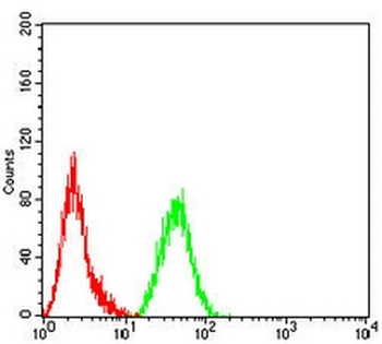 Vimentin Mouse Monoclonal Antibody