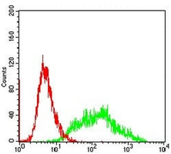 Villin Mouse Monoclonal Antibody