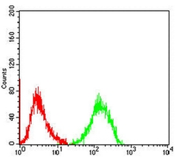 VCP Mouse Monoclonal Antibody