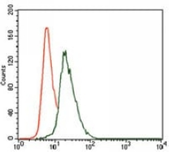 VAV1 Mouse Monoclonal Antibody