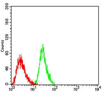 VASP Mouse Monoclonal Antibody