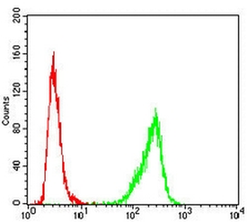 USP7 Mouse Monoclonal Antibody