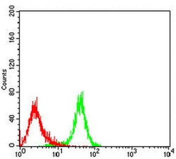 USP11 Mouse Monoclonal Antibody