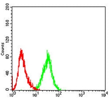 ULK3 Mouse Monoclonal Antibody