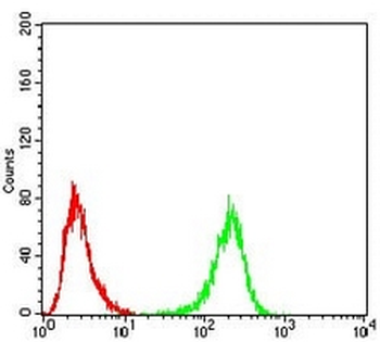 ULK2 Mouse Monoclonal Antibody