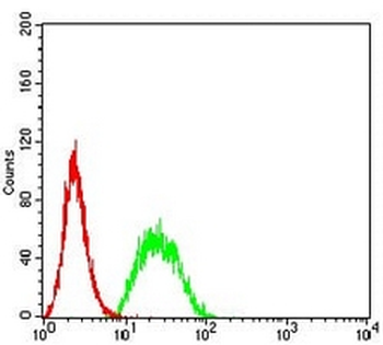 UFD1L Mouse Monoclonal Antibody