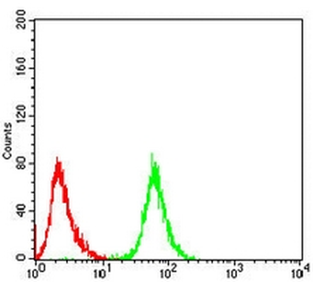 PGP9.5 Mouse Monoclonal Antibody