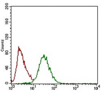 TWIST Mouse Monoclonal Antibody