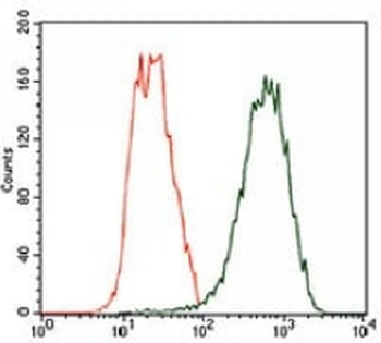 Beta2A-tubulin Mouse Monoclonal Antibody
