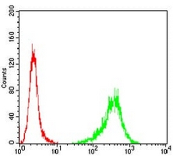 Beta-tubulin Mouse Monoclonal Antibody