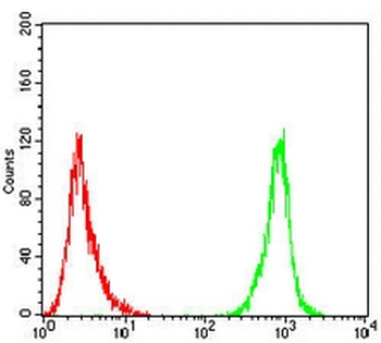 Alpha-tubulin 4a Mouse Monoclonal Antibody
