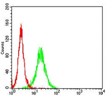 TSPAN16 Mouse Monoclonal Antibody