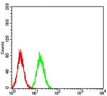 TRIM25 Mouse Monoclonal Antibody
