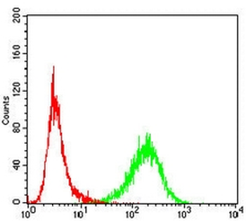 TRIB2 Mouse Monoclonal Antibody