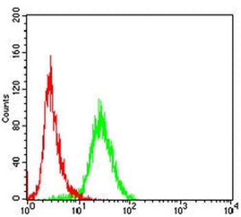 TRBC1 Mouse Monoclonal Antibody