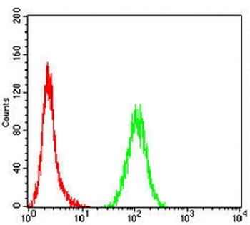 Topoisomerase 2 alpha Mouse Monoclonal Antibody