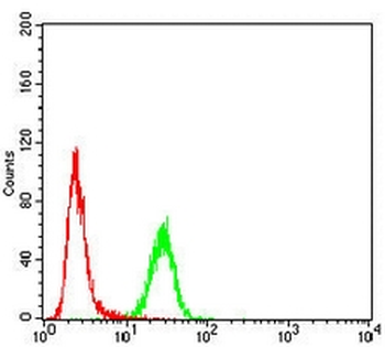 Topoisomerase 1 Mouse Monoclonal Antibody