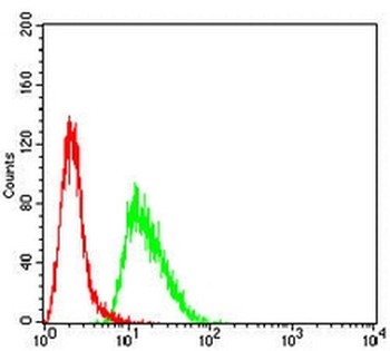 cTnT Mouse Monoclonal Antibody