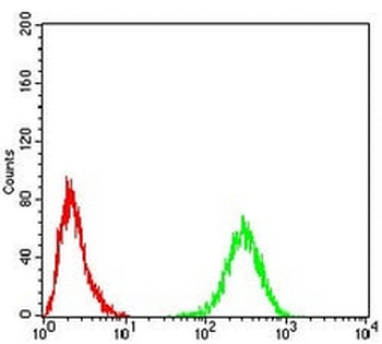 Tyrosine Hydroxylase Mouse Monoclonal Antibody