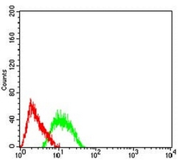 AP2-beta Mouse Monoclonal Antibody