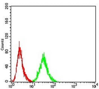 2-alpha Mouse Monoclonal Antibody (AP)