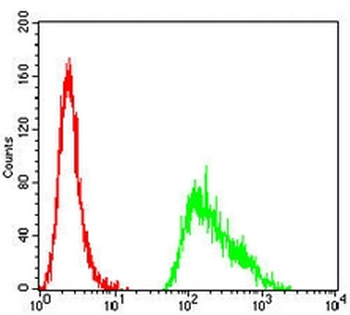 TET2 Mouse Monoclonal Antibody