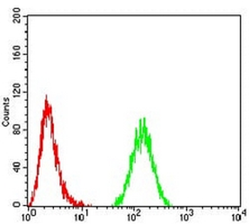 TBP Mouse Monoclonal Antibody