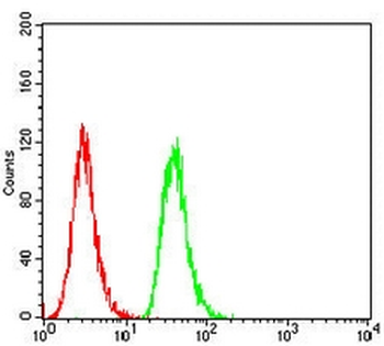 TARDBP Mouse Monoclonal Antibody