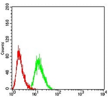 Synapsin 1 Mouse Monoclonal Antibody