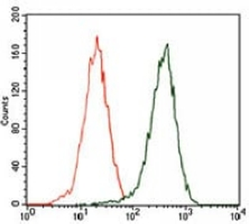 p62 Mouse Monoclonal Antibody