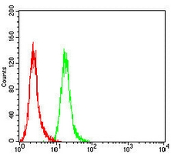 SOX11 Mouse Monoclonal Antibody