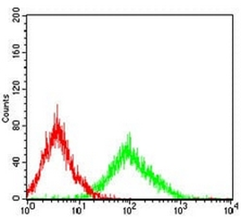 SLUG Mouse Monoclonal Antibody