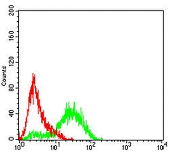 SLC22A12 Mouse Monoclonal Antibody