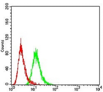 SIRT3 Mouse Monoclonal Antibody