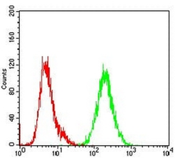 SHC1 Mouse Monoclonal Antibody