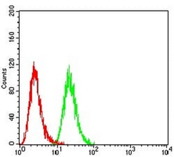 SETD7 Mouse Monoclonal Antibody
