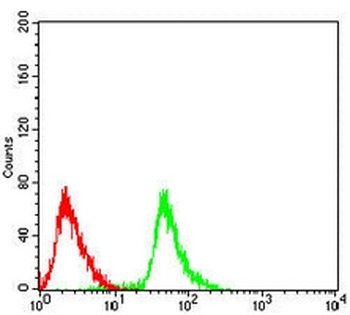 SDHA Mouse Monoclonal Antibody